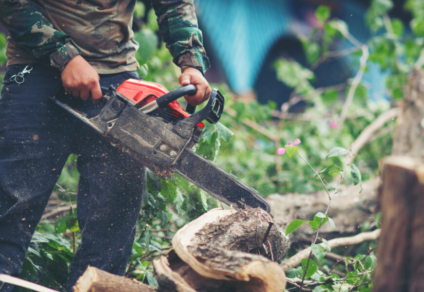 tree removal