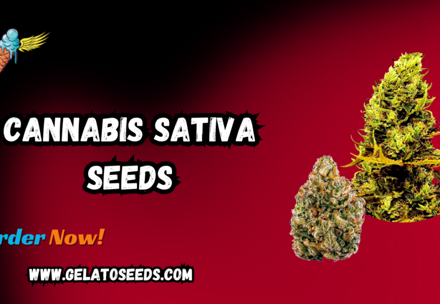 Cannabis Sativa Seeds