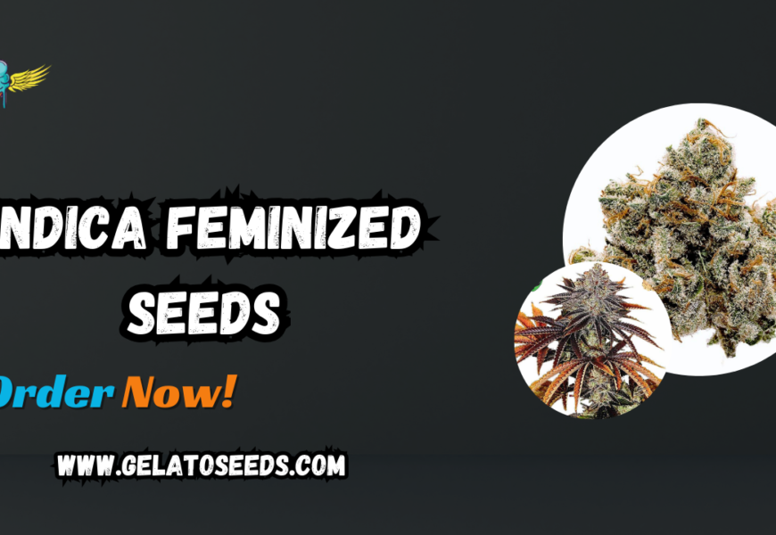 Indica Feminized Seeds